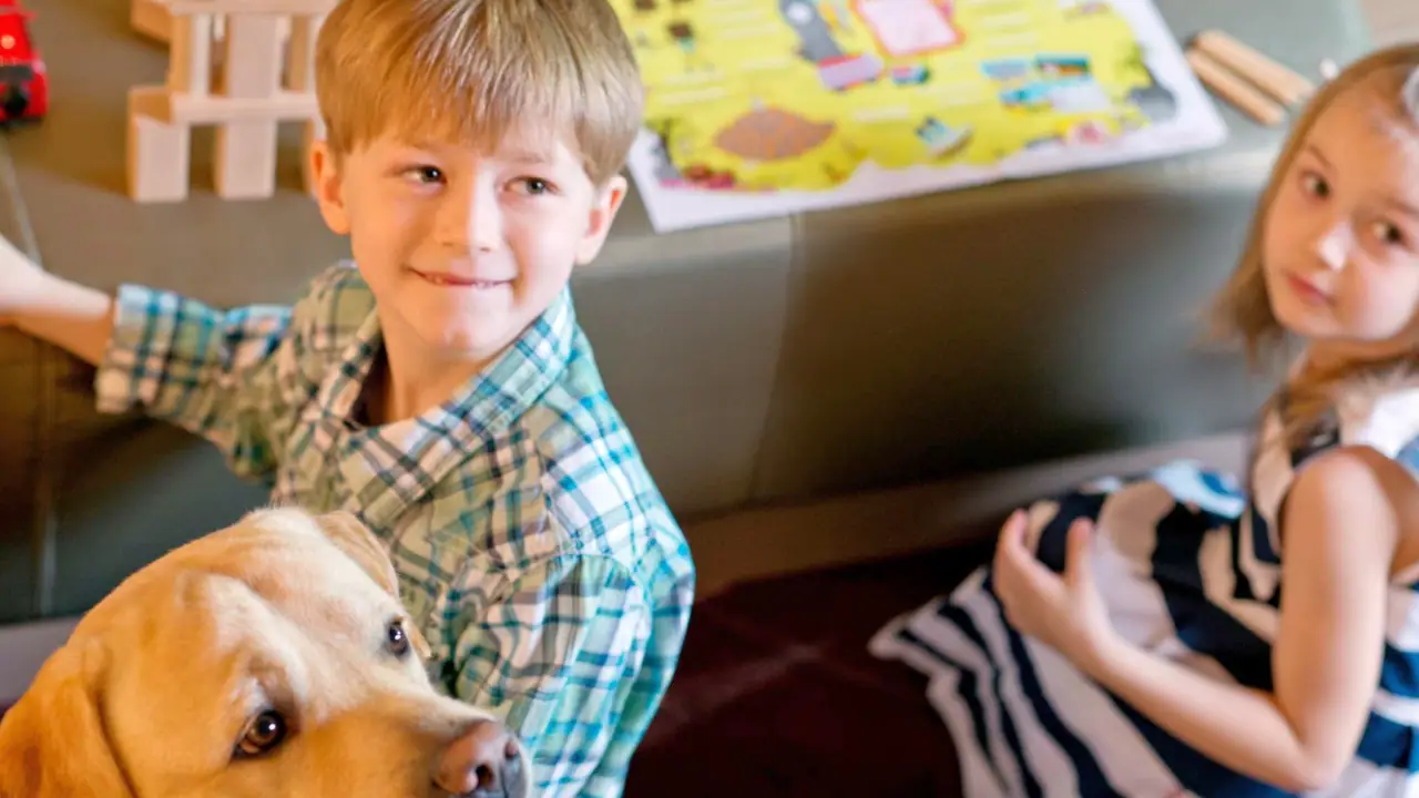 Novotel London Wembley